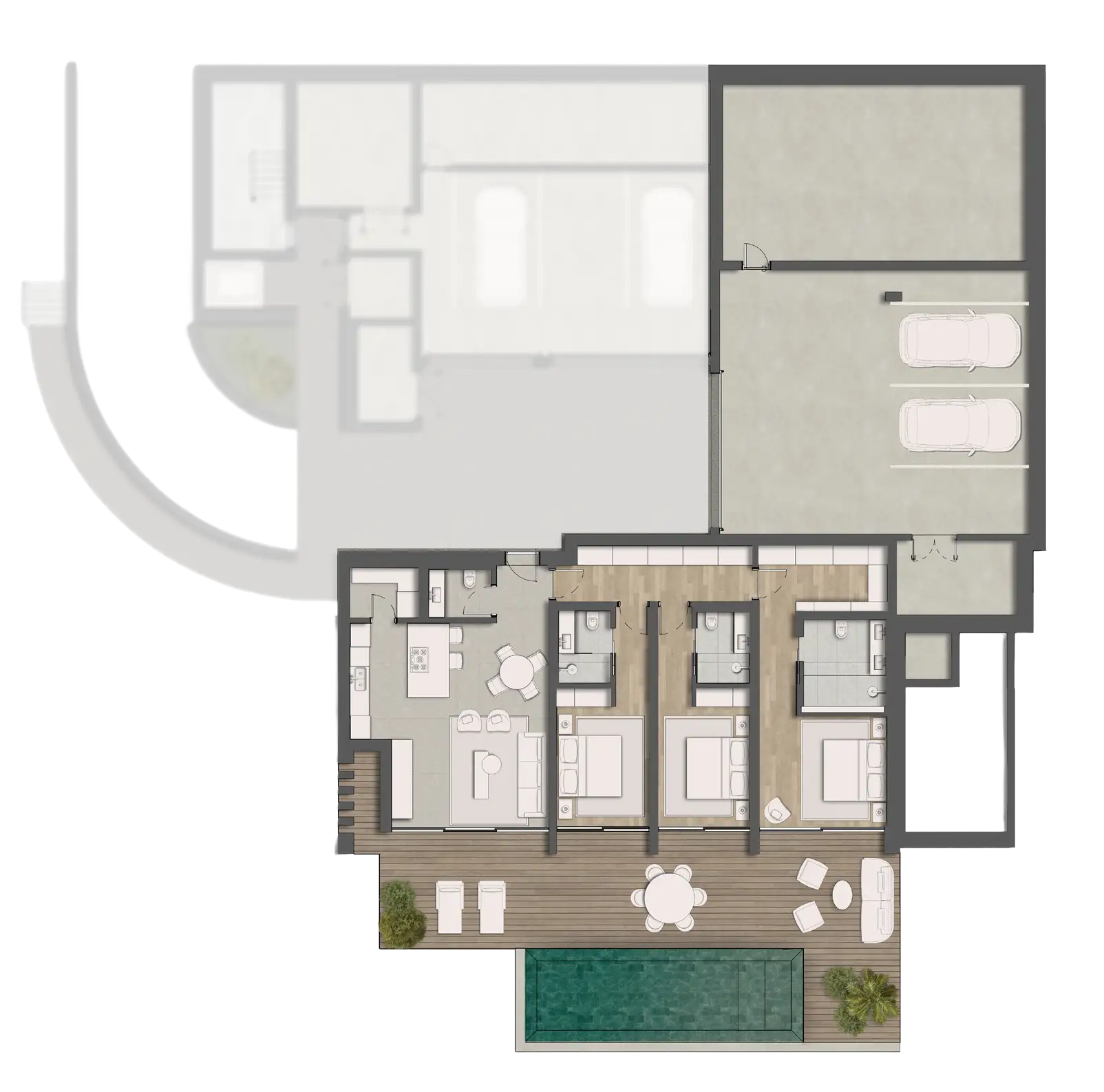 coroa-planta_p-1_m05